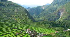 Ifugao begs Marcos for aid and seeks Batad restoration